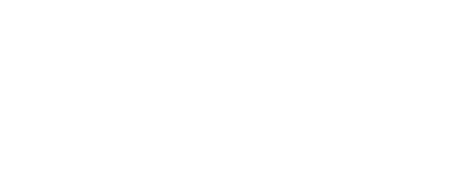 Pneu-Med Inc